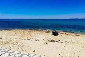 Hammamet: The Jasmine-Scented Soul of Tunisia's Coast