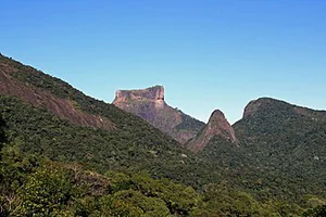 Into the Green Heart of Rio: Inside Tijuca National Park