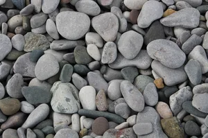 Golden Pebble Beach: Where a 600-Million-Year-Old Story Meets the Bohai Sea