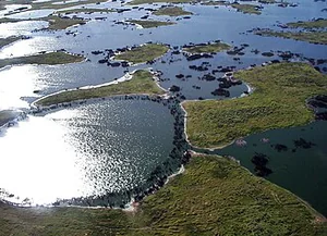 The Pantanal: Brazil's Wild Heartland, Where Rivers Move the Land